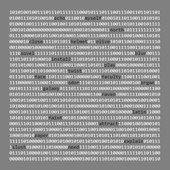 Bitcoin ordinal collection. An inscription as a bunch of digits shaped as square with BIP39 words randomly showed among them